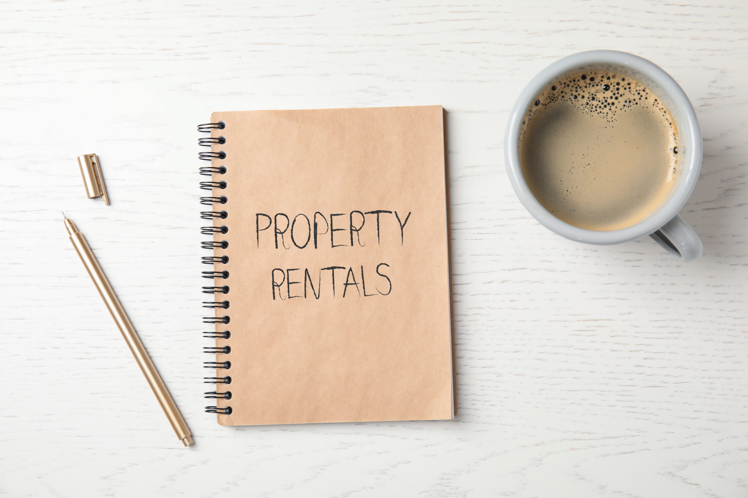 Estate agent discussing tenancy terms with landlord