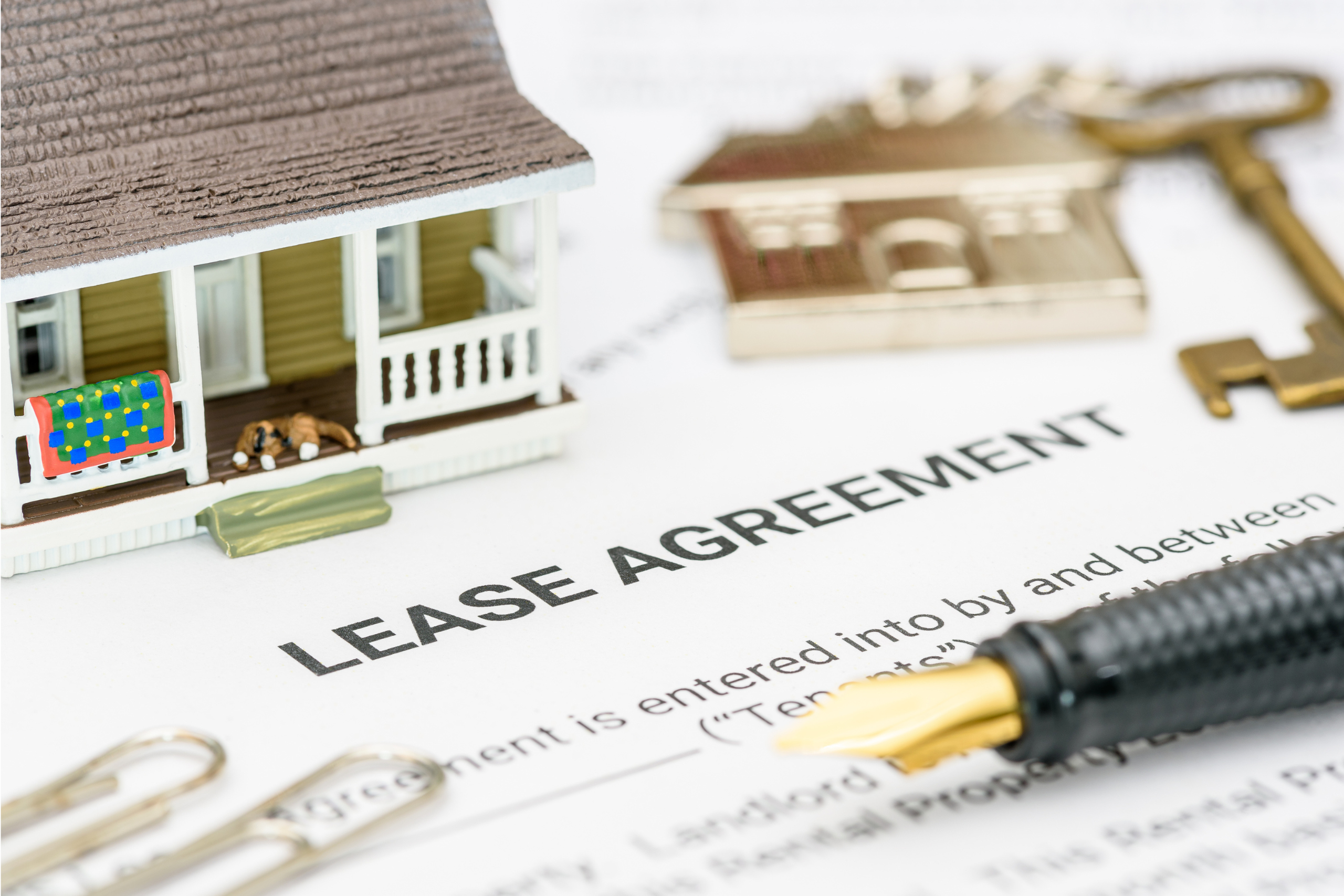 Landlord checking tenancy agreement documents